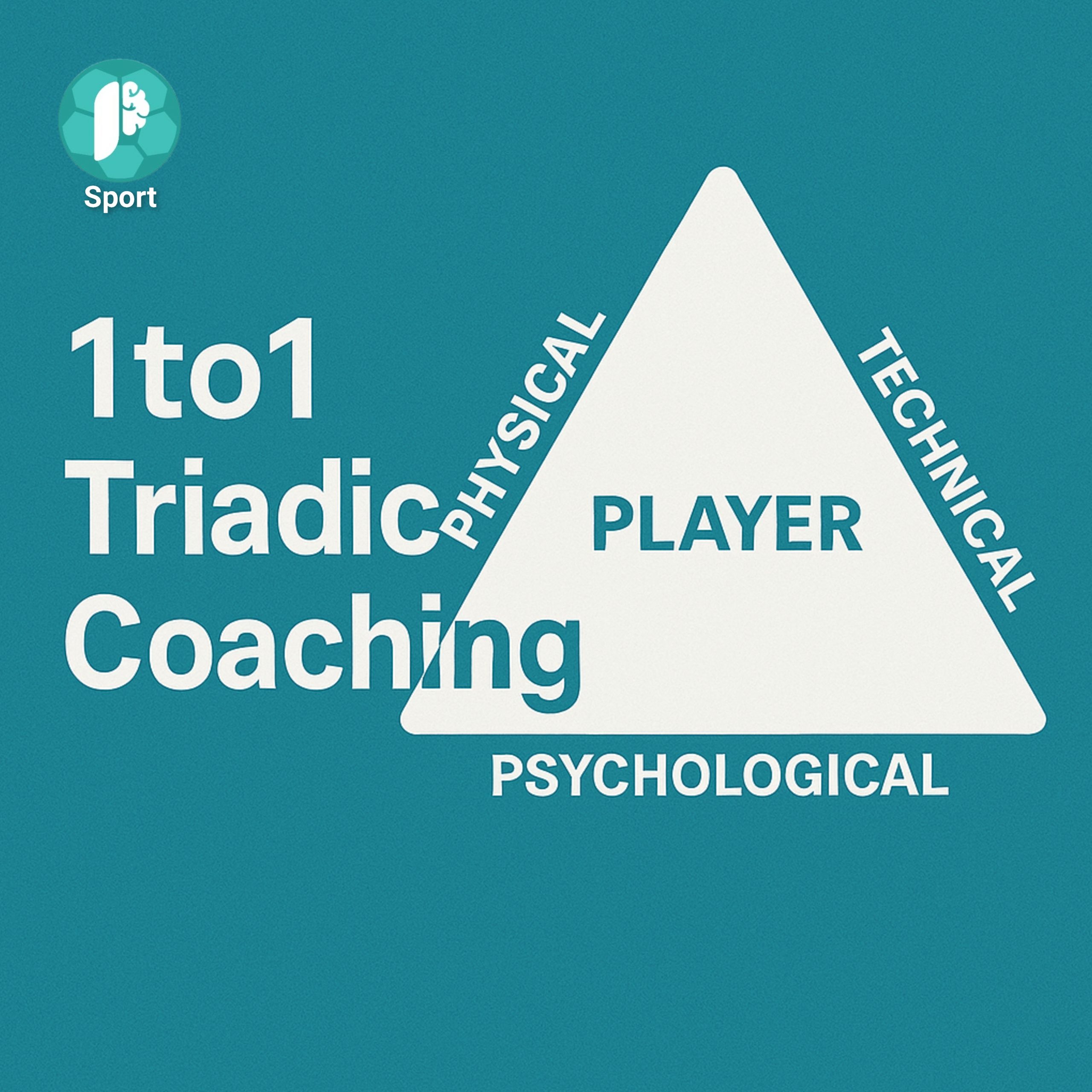 1to1 Triadic Coaching